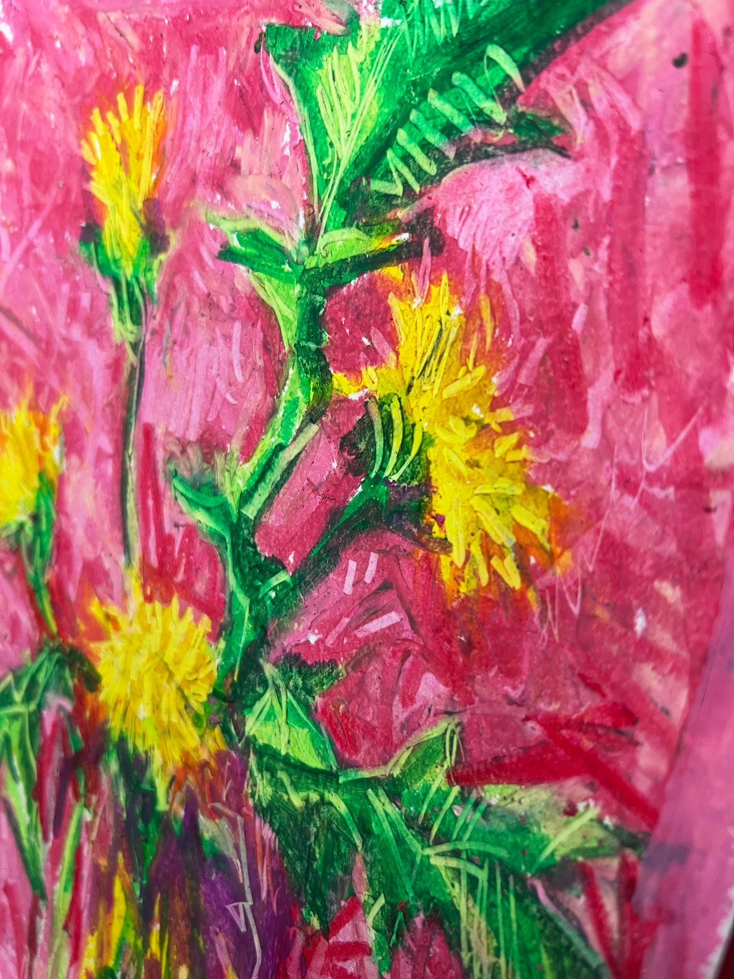 Dandelion with pink oil pastel sketch