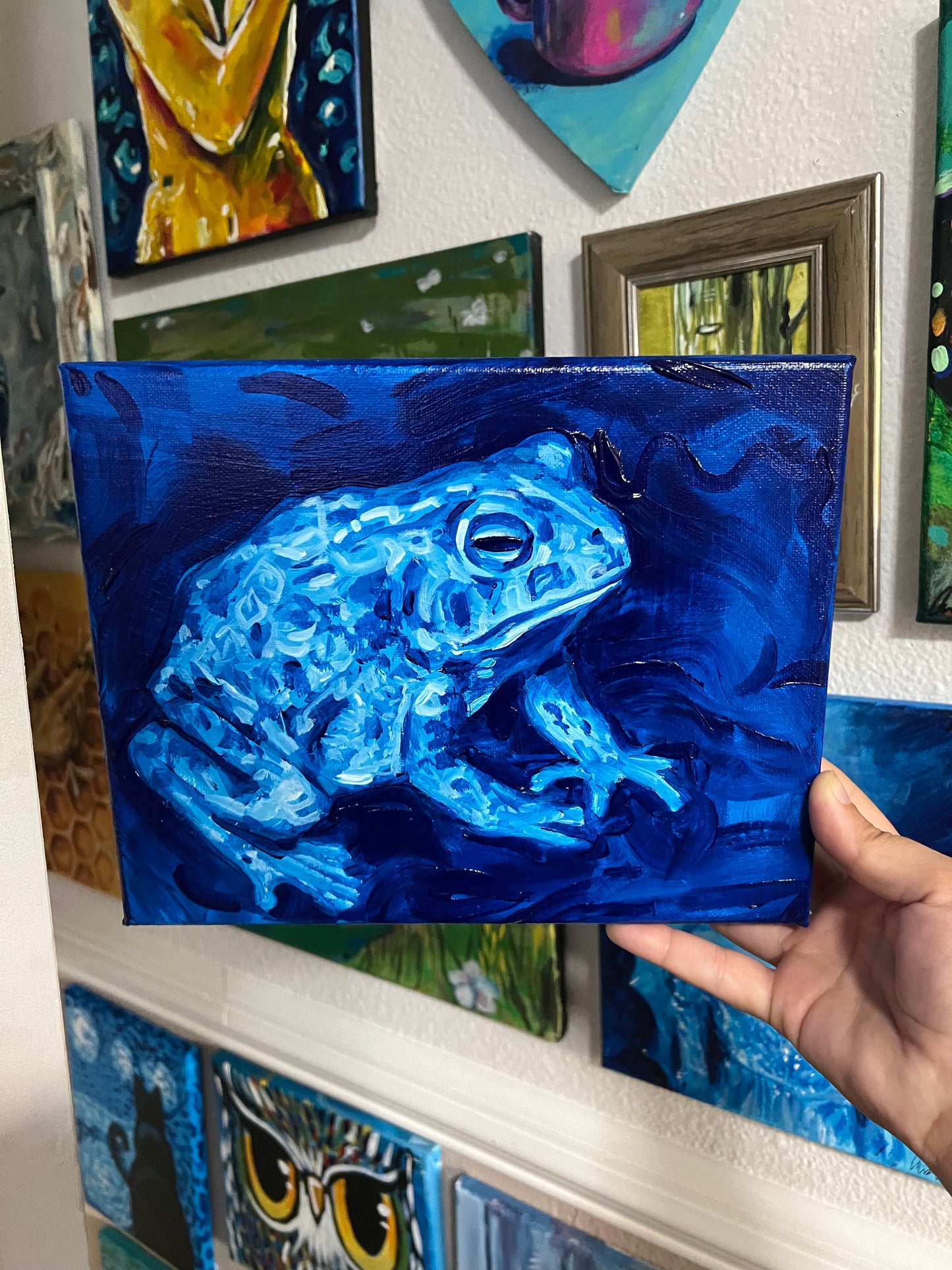 Blue Toad
