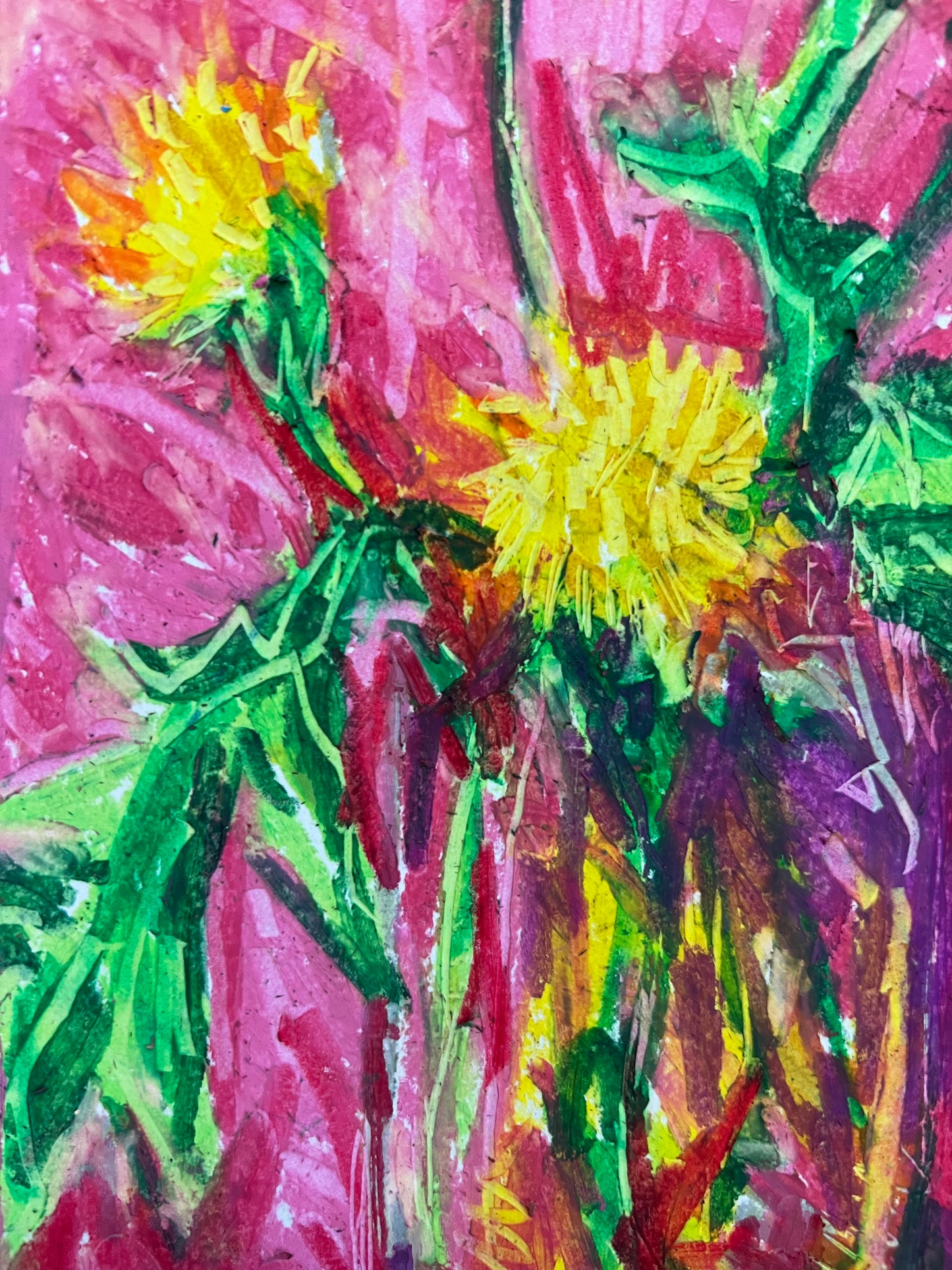 Dandelion with pink oil pastel sketch