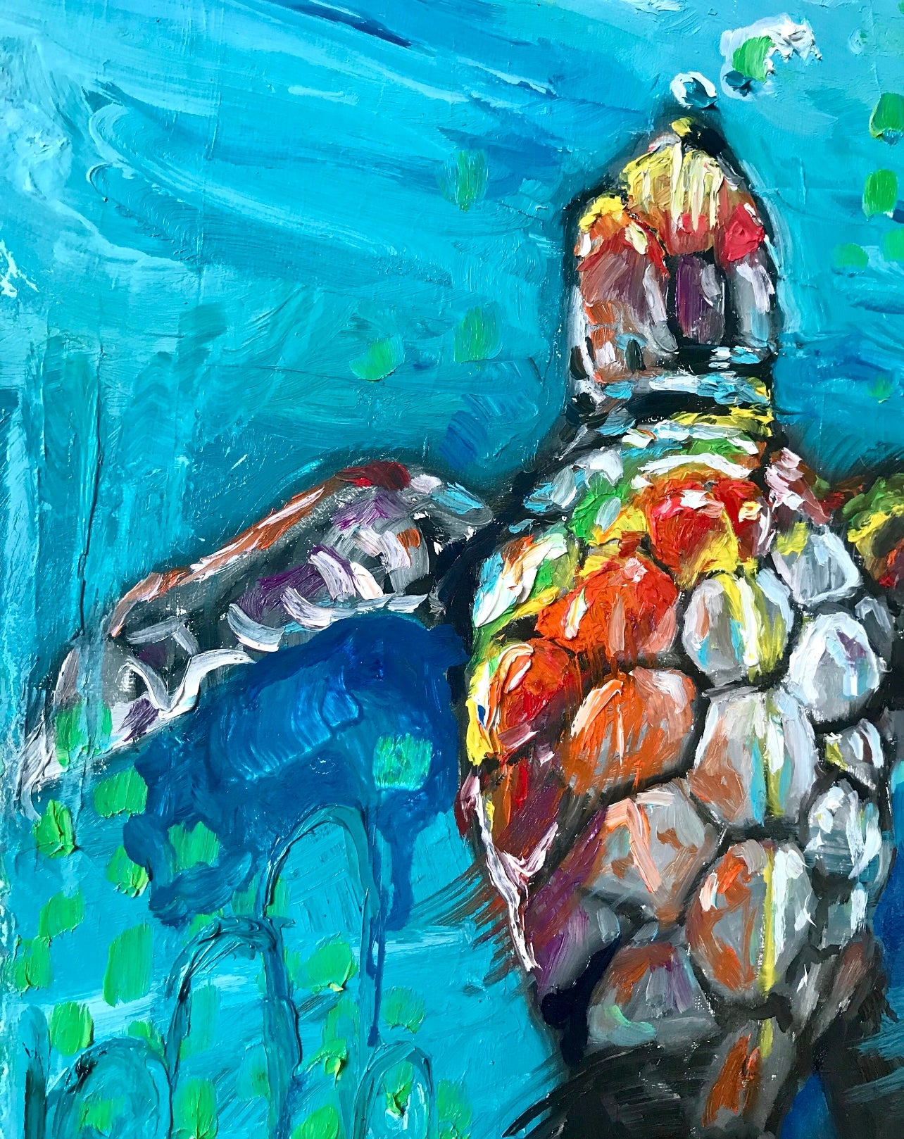 Colorful dive turtle
