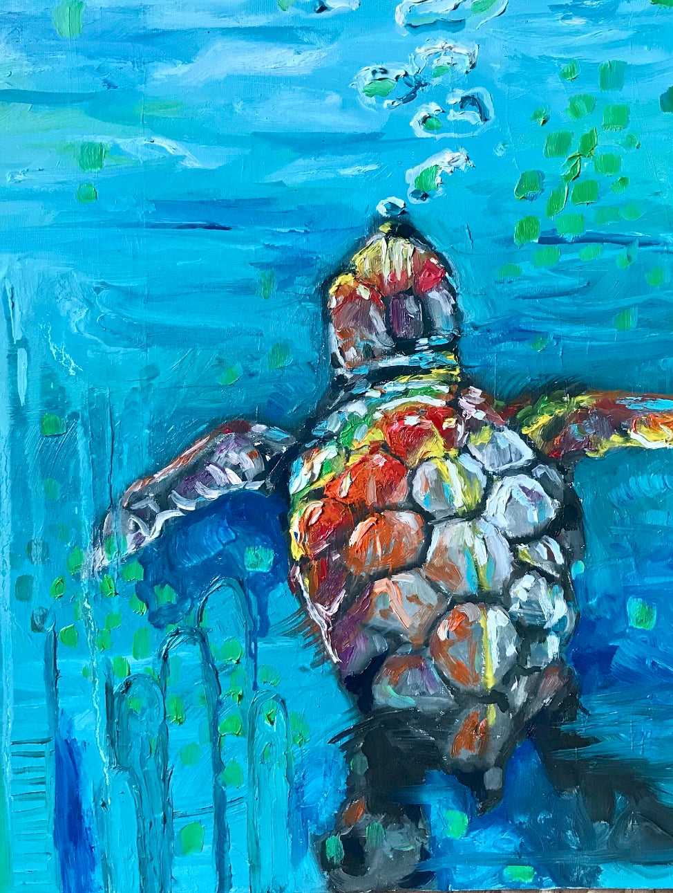 Colorful dive turtle