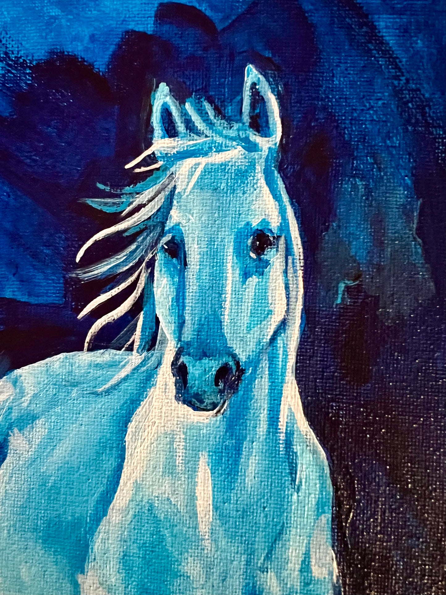 White horse in blues