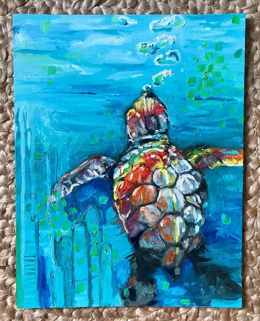 Colorful dive turtle